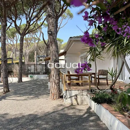 Casa Girasol 3 Holiday home